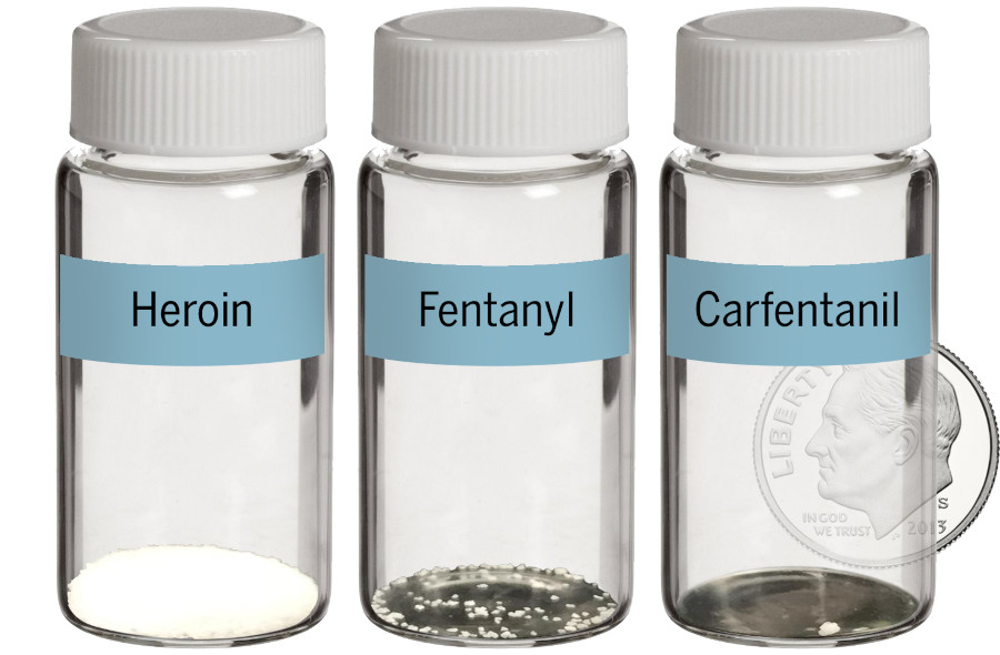 Dose létale de fentanyl, de carfentanil et d'héroïne