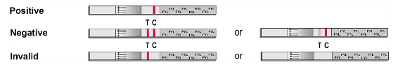 Fentanyl Test Strips Results, Positive and Negative