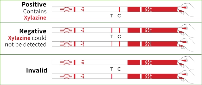 Xylazine test results